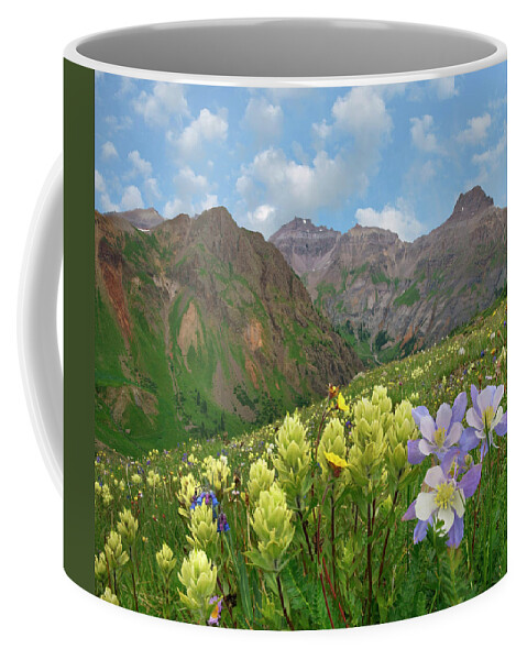 00555621 Coffee Mug featuring the photograph Paintbrush And Columbine, Governor Basin, Colorado by Tim Fitzharris