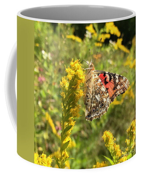 Painted Lady Coffee Mug featuring the photograph Painted Lady and Goldenrod 3 by Amy E Fraser