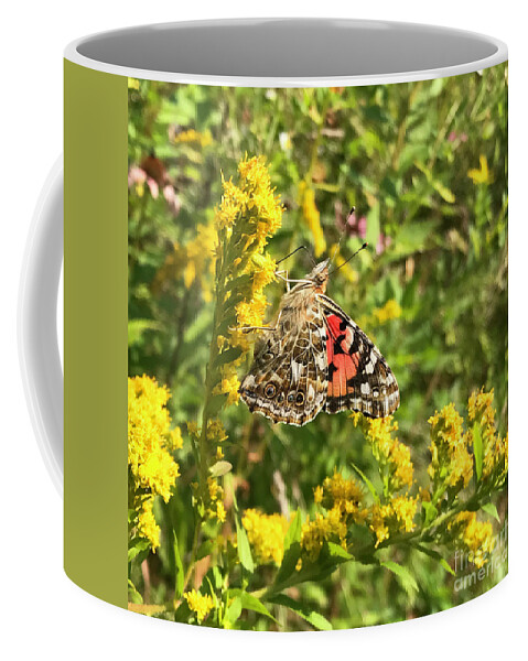 Painted Lady Coffee Mug featuring the photograph Painted Lady and Goldenrod 5 by Amy E Fraser
