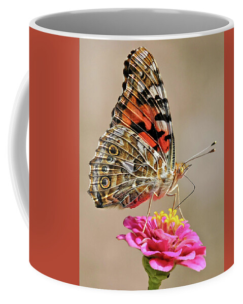 Butterfly Coffee Mug featuring the photograph Painted Lady by Art Cole