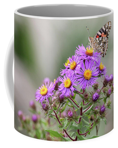 Painted Lady On Aster Coffee Mug featuring the photograph Painted Lady on Aster by Brook Burling