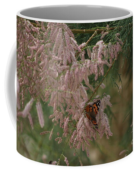 Peony Pink Coffee Mug featuring the photograph Painted Lady on Pink Chinese Saltcedar by Colleen Cornelius