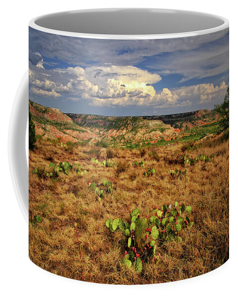 Cactus Coffee Mug featuring the photograph Palo Duro Canyon by George Taylor