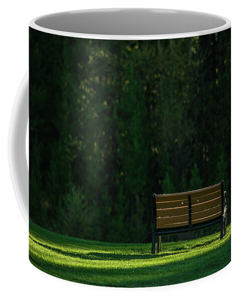 Bench Coffee Mug featuring the photograph Park bench at sunrise by Julieta Belmont
