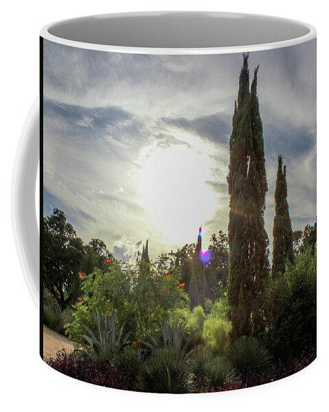 Sunset Nature Photography Landscape Coffee Mug featuring the photograph Park Sunset by Rocco Silvestri