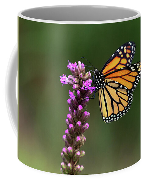 Butterfly Coffee Mug featuring the photograph Passion for Purple by Art Cole
