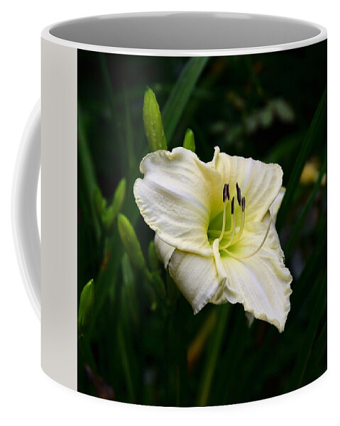Delicate Coffee Mug featuring the photograph Pastel Yellow Daylily by Lynn Hunt