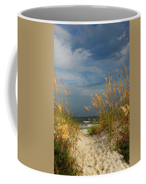 Ocean Coffee Mug featuring the photograph Path to the Ocean by Jerry Griffin