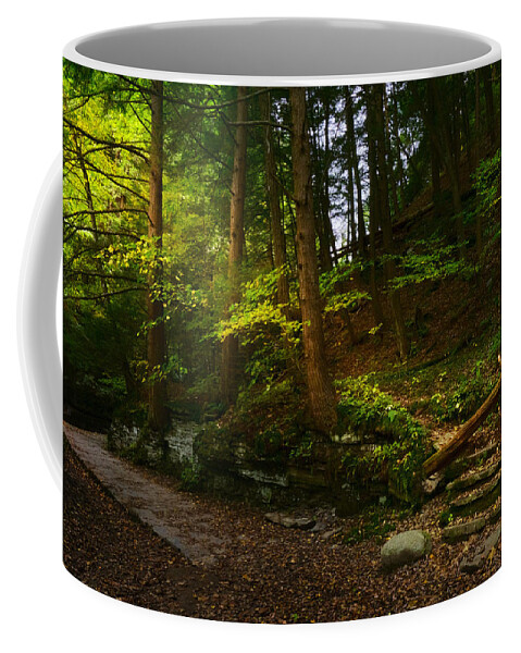Fall Coffee Mug featuring the photograph Pathway by Amanda Jones