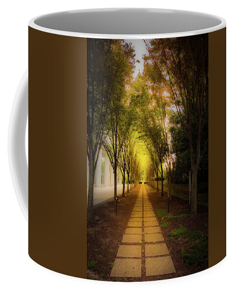 Atlanta Coffee Mug featuring the photograph Pathway by Kenny Thomas