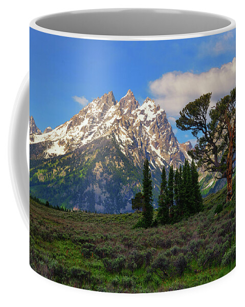 Patriarch Tree Coffee Mug featuring the photograph Patriarch Tree and the Cathedral by Greg Norrell