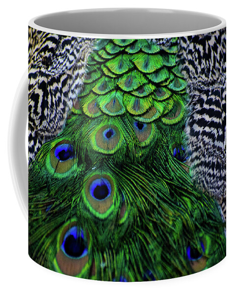 Feathers Coffee Mug featuring the photograph Patterns and Colors by Melisa Elliott