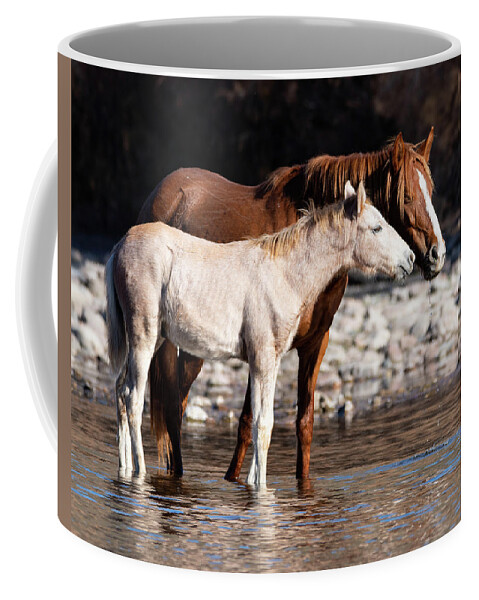 Wild Horses Coffee Mug featuring the photograph Peace by Mary Hone