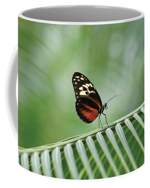 Butterfly Coffee Mug featuring the photograph Peaceful Beauty by Christine Chin-Fook
