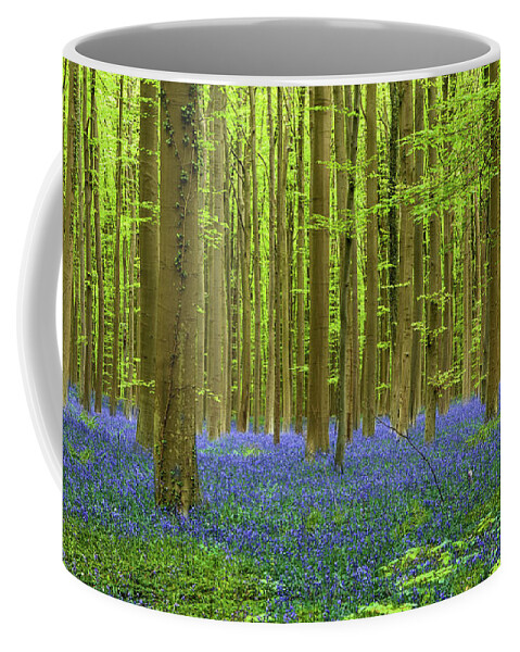 Bluebells Coffee Mug featuring the photograph Peaceful sight by Jorge Maia