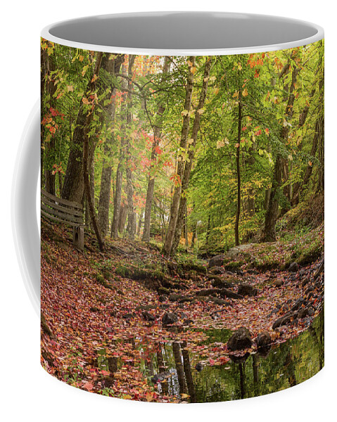 Maine Coffee Mug featuring the photograph Peaceful Woods by Karin Pinkham