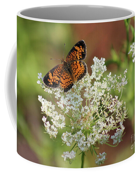 Pearl Crescent Butterfly Coffee Mug featuring the photograph Pearl on Lace by Karen Adams