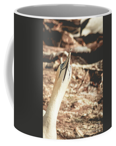 Cheryl Baxter Photography Coffee Mug featuring the photograph Peeking Gannet by Cheryl Baxter