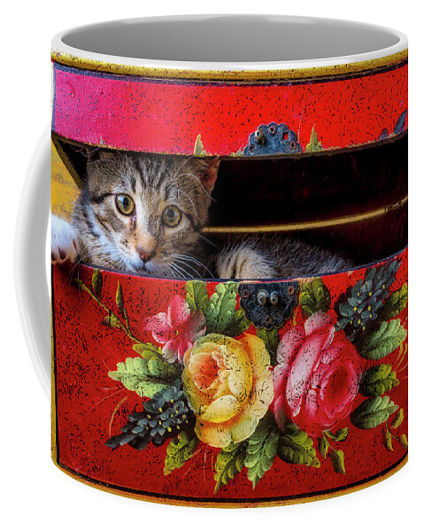 Tabby Coffee Mug featuring the photograph Peeking Out Of A Red Box by Garry Gay