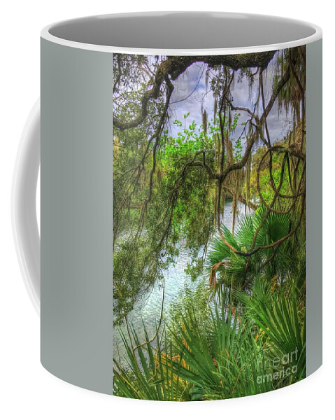 Trees Coffee Mug featuring the photograph Peeking Through the Trees by Debbi Granruth
