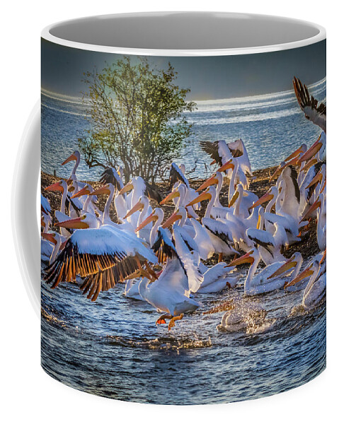 Pelicans. Pelican Coffee Mug featuring the photograph Pelican Island by David Wagenblatt