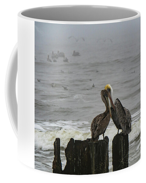 Pelican Coffee Mug featuring the photograph Pelican Love by Jerry Connally