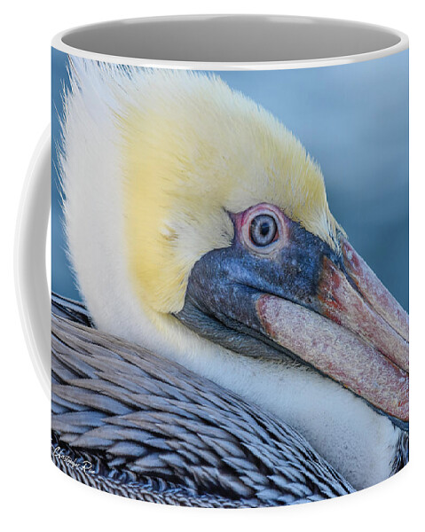 Pelican Coffee Mug featuring the photograph Pelican Profile by Christopher Rice