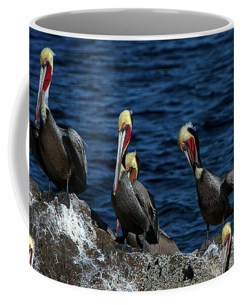 Azamara Coffee Mug featuring the photograph Pelicanos by Doug Sturgess