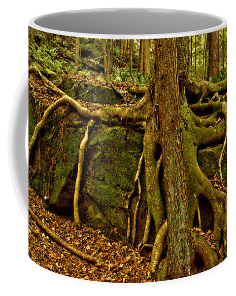 Trees Coffee Mug featuring the photograph Pennsylvania Tree Squid by Adam Jewell