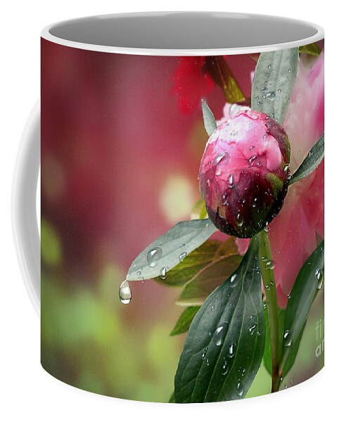 Refractions Coffee Mug featuring the mixed media Peony Bud and Refractions by Morag Bates