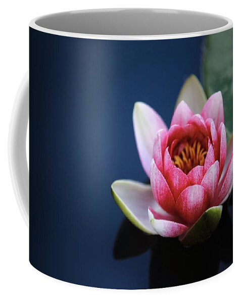 Photo Coffee Mug featuring the photograph Perfect lotus by Top Wallpapers