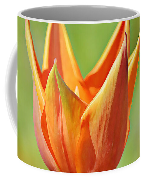 Orange Coffee Mug featuring the photograph Perfect Orange Tulip by Gaby Ethington
