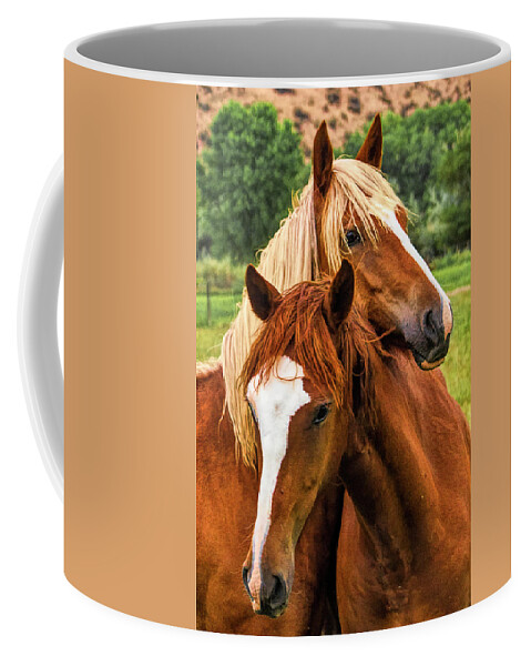 Peruvian Paso Horses Coffee Mug featuring the photograph Peruvian Paso Pals by Priscilla Burgers