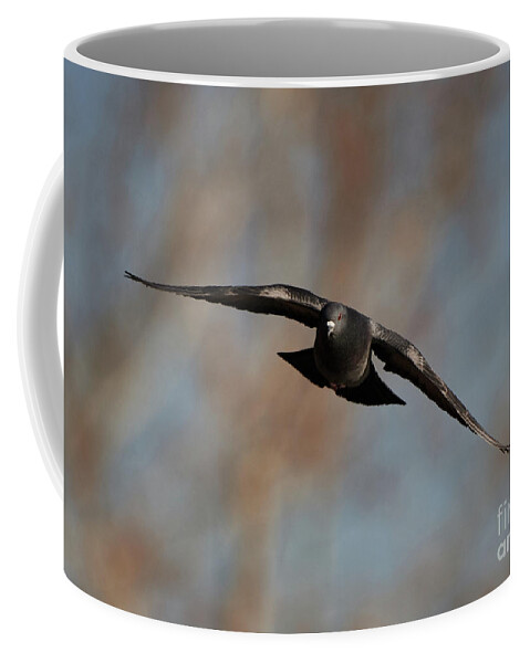 Pigeon Coffee Mug featuring the photograph Pigeon Inflight by Robert WK Clark