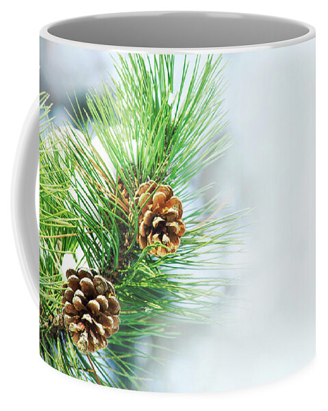 Pine Coffee Mug featuring the photograph Pine Cone On Fir Tree Brunch Under Snow by Jelena Jovanovic