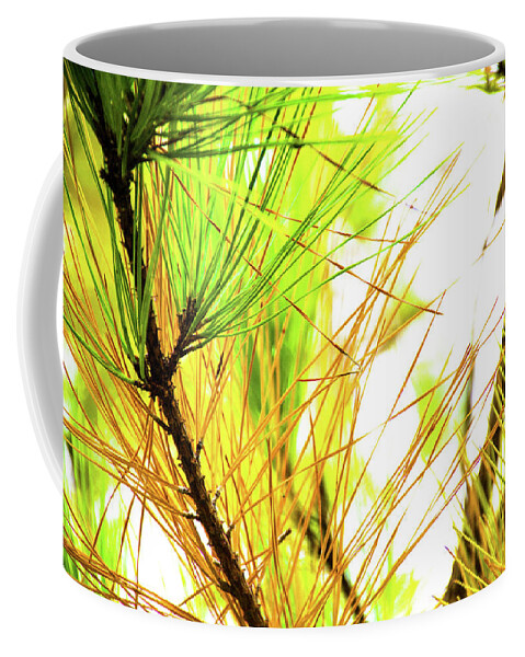 Pine Coffee Mug featuring the photograph Pine Needle by Glen Carpenter