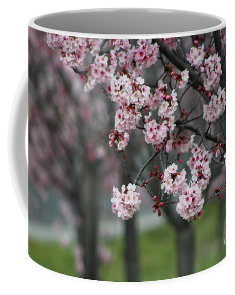 Misty Coffee Mug featuring the photograph Pink Blossoms in Foreground at Reagan Library 2 by Colleen Cornelius