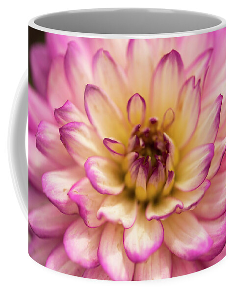 Flower Coffee Mug featuring the photograph Pink Delight by Arthur Oleary