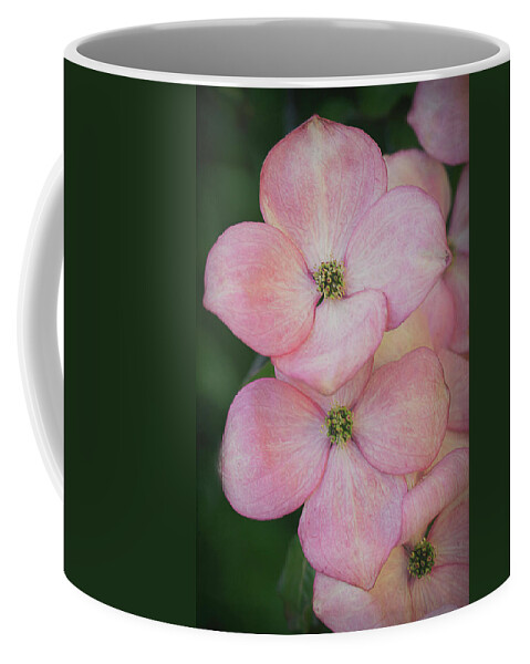 Pink Coffee Mug featuring the photograph Pink Dogwood Blossoms by TL Wilson Photography by Teresa Wilson