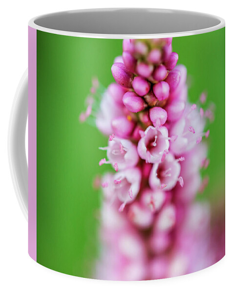 Flowers Coffee Mug featuring the photograph Macro Photography - Flowers by Amelia Pearn