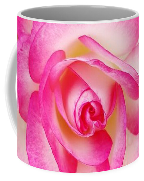 Pink Coffee Mug featuring the photograph Pink Halo Rose by Rachel Hannah