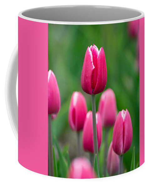 Pink Coffee Mug featuring the photograph Pink by Linda Bonaccorsi