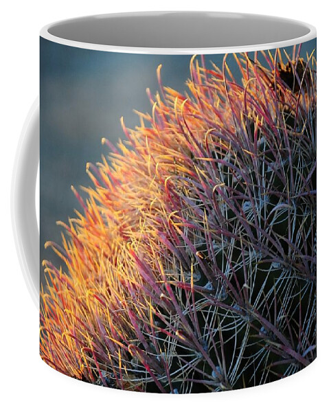  Coffee Mug featuring the photograph Pink Prickly Cactus by Susie Rieple