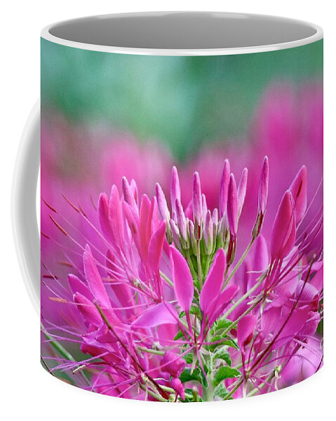 Flower Coffee Mug featuring the photograph Pink Queen by Susan Rydberg
