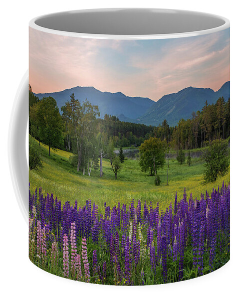Pink Coffee Mug featuring the photograph Pink Sky Sugar Hill Morning by White Mountain Images