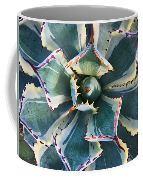 Plant Coffee Mug featuring the photograph Pinwheel Succulent by Tom Gresham