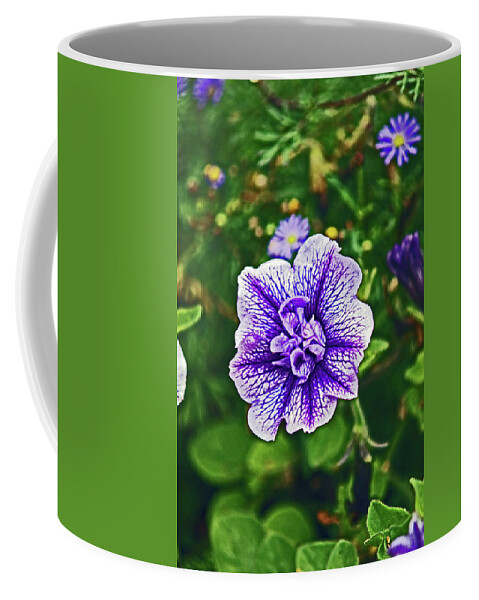 Scotland Coffee Mug featuring the photograph PITLOCHRY. Purple Petunia. by Lachlan Main