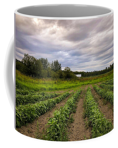 Plantation Coffee Mug featuring the photograph Plantation by Anamar Pictures