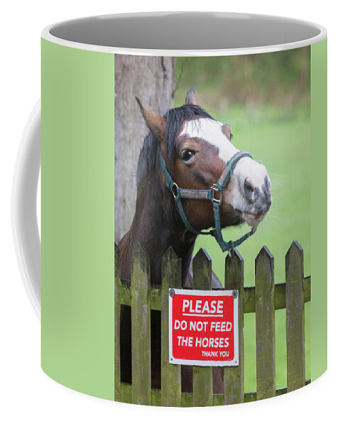 Horse Coffee Mug featuring the photograph Please can I have an apple - horse - please do not feed the horses by Anita Nicholson