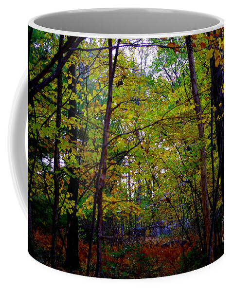 Poconos Autumn Archway In The Forest Coffee Mug featuring the photograph Poconos Autumn Archway In The Forest by Barbra Telfer
